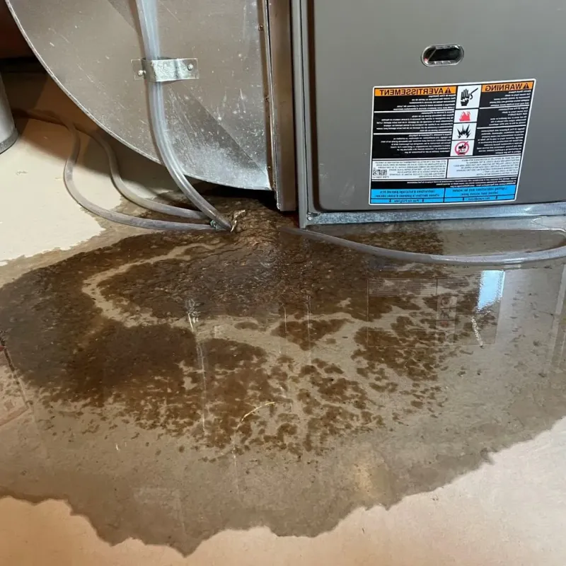Pipe Burst and Leak Restoration in Conning Towers-Nautilus Park, CT