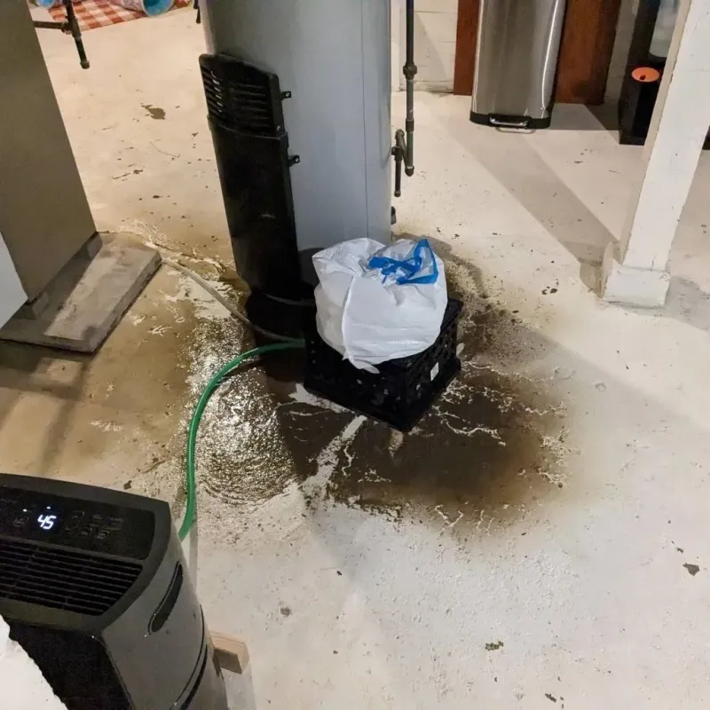 Sewage Backup Cleanup Service in Conning Towers-Nautilus Park, CT